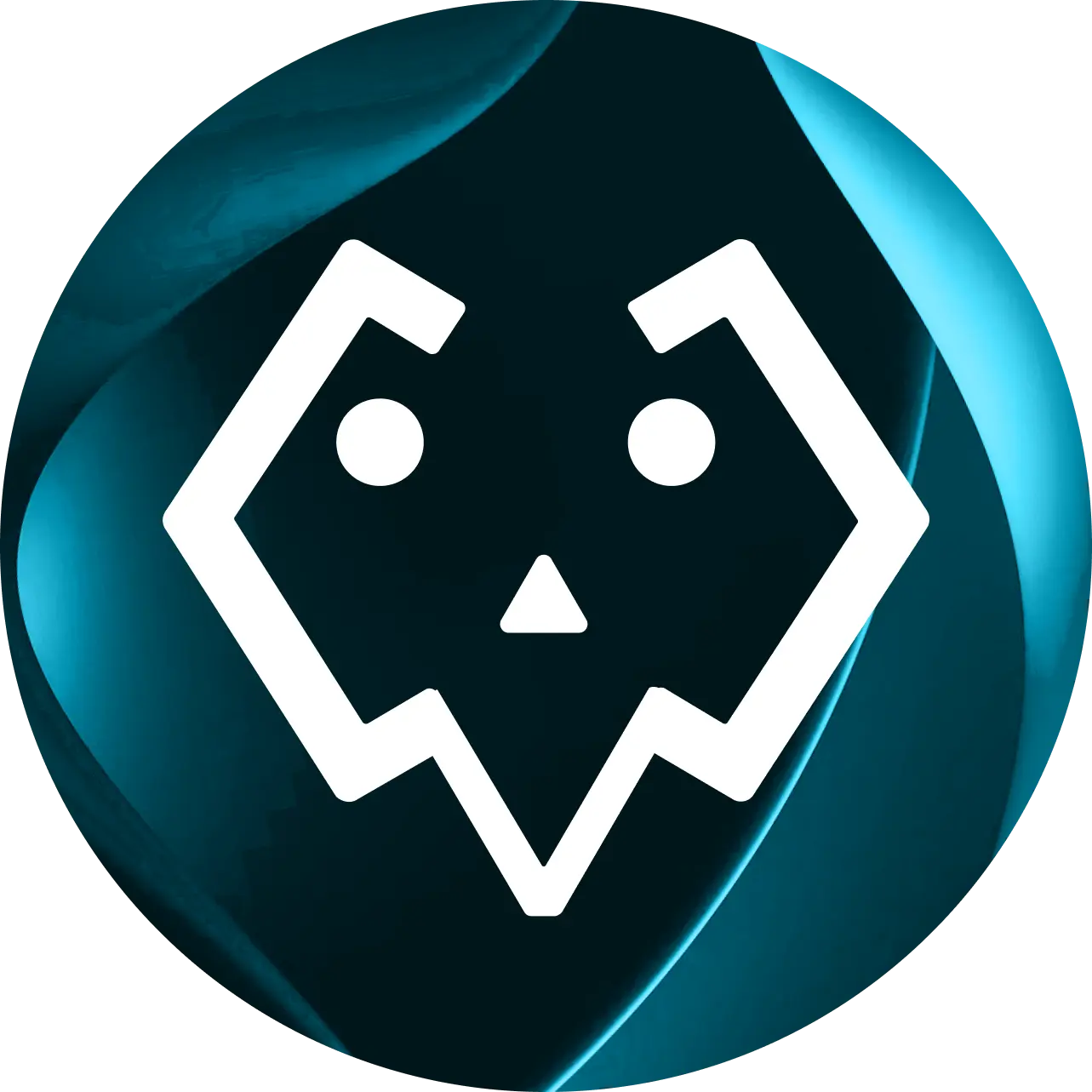 Personal Open Source Project